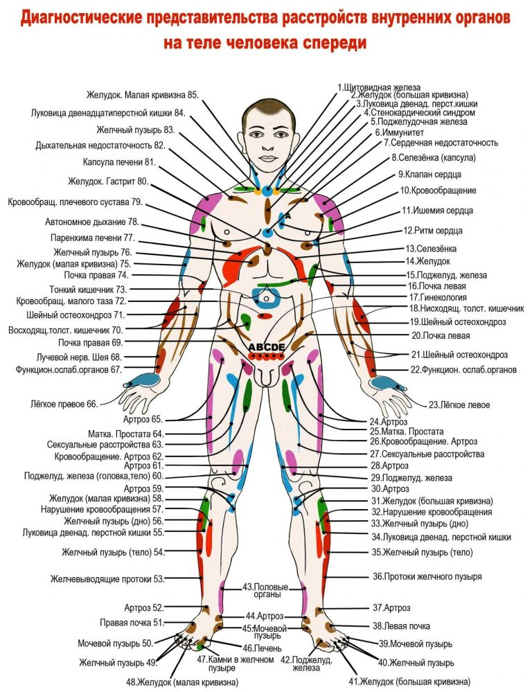 Зоны захарьина геда схема на лице